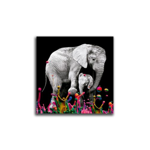 Cuadro Decorativo Elefante Pintura Piso Estampado En Tela