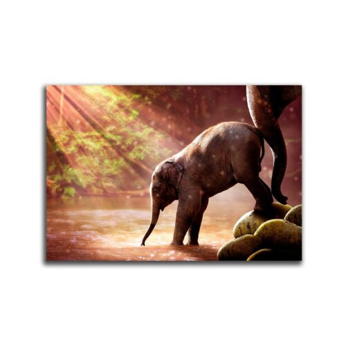 Cuadro Elefante Bebé