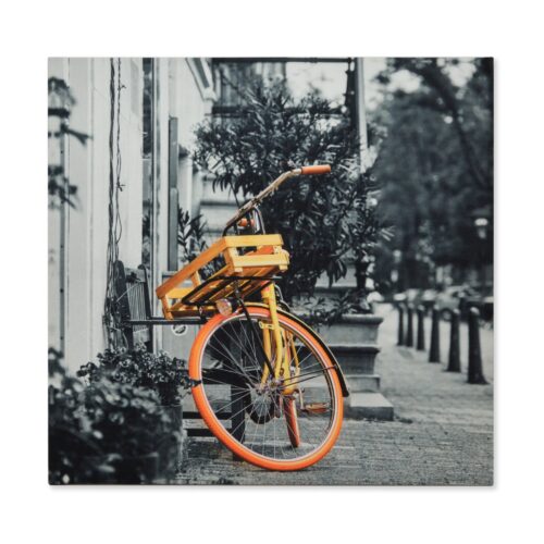 Cuadro Decorativo Bicicleta Estampado En Tela
